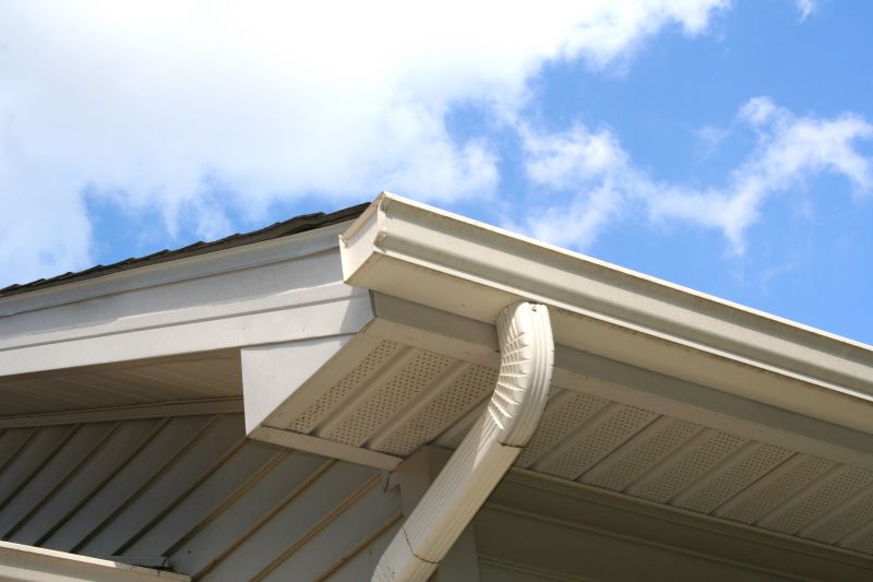 Stylish Gutter Cover Options